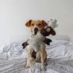 DUVO+ Farm Friends Sebastian Sheep 49cm -Hund Sache Getchaft duvoplus farm friends sebastian sheep 49 cm web 3