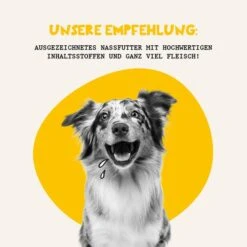 Dogs'n Tiger Gaumenfreude Nassfutter Geflügel Mit Süßkartoffel 13 Dogs'n Tiger Gaumenfreude Nassfutter Geflügel Mit Süßkartoffel -Hund Sache Getchaft futterungsempfehlung hundenassfutter 6kPsYVIPCAJeU4
