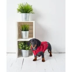 GF Pet Elastofit Regenmantel Rot 13 GF Pet Elastofit Regenmantel Rot -Hund Sache Getchaft gfpet regenmantel rot 6