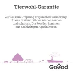 Goood Mini Senior Freilandpute & Nachhaltige Forelle -Hund Sache Getchaft goood senior huhn forelle futter 1u4wDAgmHT0jb2