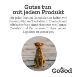 Goood Mini Senior Freilandpute & Nachhaltige Forelle -Hund Sache Getchaft goood senior huhn forelle futter 3ZCcJZkqgUgBi7