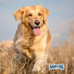 Happy Dog NaturCroq Active -Hund Sache Getchaft happy dog natur croq active 7