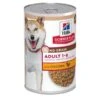 Hill's Science Plan Hund No Grain Adult Huhn