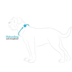 Hunter Halsband Aalborg Special Cognac 15 Hunter Halsband Aalborg Special Cognac -Hund Sache Getchaft hunter halsumfang608ac592ddcba