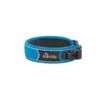 Hunter Halsung Divo Hellblau -Hund Sache Getchaft hunter halsung divo hellblau 1