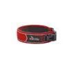 Hunter Halsung Divo Rot 2 Hunter Halsung Divo Rot -Hund Sache Getchaft hunter halsung divo rot 1