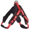 Hunter Neopren Geschirr Rot/schwarz -Hund Sache Getchaft hunter neopren geschirr rot schwarz