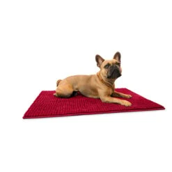 Hunter Schmutzfangmatte Waterloo Rot 8 Hunter Schmutzfangmatte Waterloo Rot -Hund Sache Getchaft hunter schmutzfangmatte waterloo rot 3