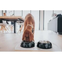 Hunter Napfunterlage Selection Transparent 8 Hunter Napfunterlage Selection Transparent -Hund Sache Getchaft hunter selection napfunterlage 2 stck transparent 3