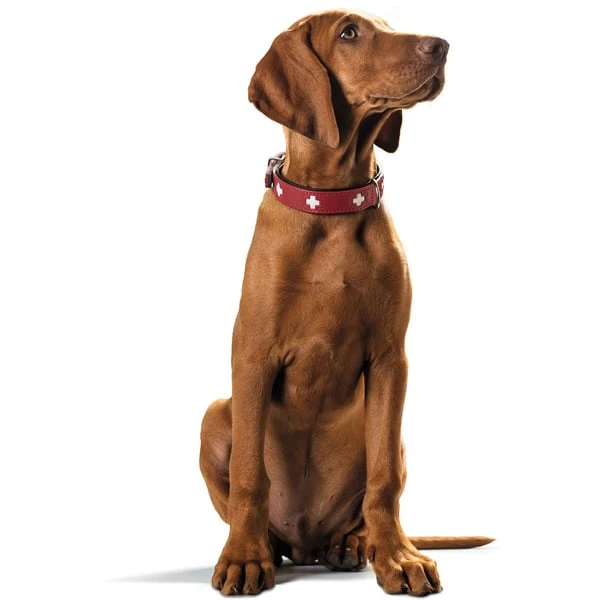 Hunter Swiss Halsband Rot/schwarz 8 Hunter Swiss Halsband Rot/schwarz – Bild 6