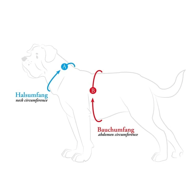 Hunter Geschirr Divo Hellblau 10 Hunter Geschirr Divo Hellblau – Bild 8