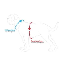 Hunter Geschirr Maldon Grau -Hund Sache Getchaft hunter umfang608ac6e87b90f