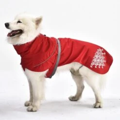 IEnergy LUN Hunderegenmantel 16 IEnergy LUN Hunderegenmantel -Hund Sache Getchaft ienergy lun regenjacke 5