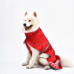 IEnergy LUN Hunderegenmantel 17 IEnergy LUN Hunderegenmantel -Hund Sache Getchaft ienergy lun regenjacke 6