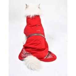 IEnergy LUN Hunderegenmantel 18 IEnergy LUN Hunderegenmantel -Hund Sache Getchaft ienergy lun regenjacke 7