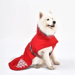 IEnergy JUD Hundewintermantel 13 IEnergy JUD Hundewintermantel -Hund Sache Getchaft ienergy wintermantel jud 5