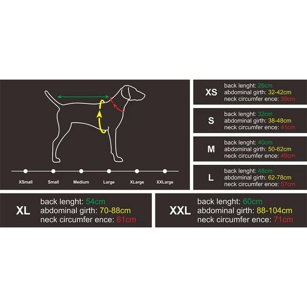 IEnergy JUD Hundewintermantel 9 IEnergy JUD Hundewintermantel – Bild 8