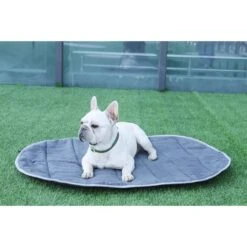 IEnergy BUR Hundematte -Hund Sache Getchaft ienery hundematte bur 2