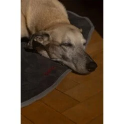 IEnergy BUR Hundematte -Hund Sache Getchaft ienery hundematte bur 6