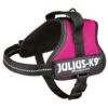 Julius K9 Julius-K9 Powergeschirr Fuchsia -Hund Sache Getchaft julius k9 idc geschirr fuchsial groesse mini mini s
