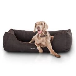Knuffelwuff Orthopädisches Hundebett Amelie Schwarz 7 Knuffelwuff Orthopädisches Hundebett Amelie Schwarz -Hund Sache Getchaft knuffelwuff orthopadisches hundebett amelie schwarz m l 2