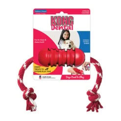 KONG Dental Mit Seil -Hund Sache Getchaft kong dental mit seil m web 2