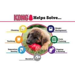 KONG Extreme -Hund Sache Getchaft kong extreme web 5