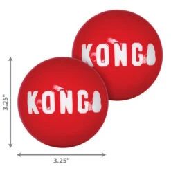 KONG Signature Balls 2 Stück -Hund Sache Getchaft kong signature balls l 2u0K7feY1v1FUI