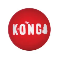 KONG Signature Balls 2 Stück -Hund Sache Getchaft kong signature balls m 39N7EmaQhIBcsn