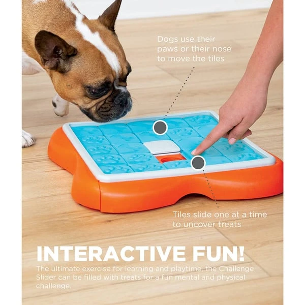 Nina Ottosson Challenge Slider Intelligenzspielzeug 4 Nina Ottosson Challenge Slider Intelligenzspielzeug – Bild 2