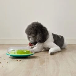 Nina Ottosson Wobble Bowl Intelligenzspielzeug 19 Nina Ottosson Wobble Bowl Intelligenzspielzeug -Hund Sache Getchaft nina ottosson inteligenz spielzeug wobble bowl 3