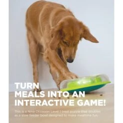 Nina Ottosson Wobble Bowl Intelligenzspielzeug 17 Nina Ottosson Wobble Bowl Intelligenzspielzeug -Hund Sache Getchaft nina ottosson inteligenz spielzeug wobble bowl 6