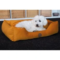 Petlando Hundebett Paul Senfgelb 5 Petlando Hundebett Paul Senfgelb -Hund Sache Getchaft petlando paul senfgelb 2