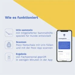Pezz Urintest Kit Für Hunde -Hund Sache Getchaft pezz urintest kit fur hunde 3