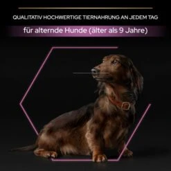 PRO PLAN Small & Mini Adult 9+ Huhn -Hund Sache Getchaft pro plan small und mini adult 9plus huhn 5