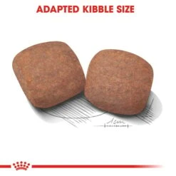 ROYAL CANIN Giant Adult 15kg + Maxi Adult 10x140g 13 ROYAL CANIN Giant Adult 15kg + Maxi Adult 10x140g -Hund Sache Getchaft rc giant adult trocken 4