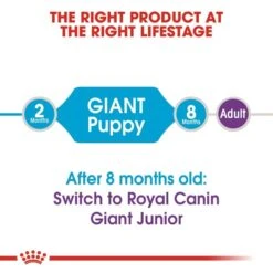 ROYAL CANIN Giant Puppy 3,5kg + Maxi Puppy In Soße 10x140g 14 ROYAL CANIN Giant Puppy 3,5kg + Maxi Puppy In Soße 10x140g -Hund Sache Getchaft rc puppy maxi trocken 25f5a128d31622