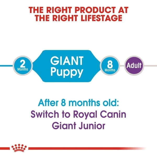 ROYAL CANIN Giant Puppy 3,5kg + Maxi Puppy In Soße 10x140g 8 ROYAL CANIN Giant Puppy 3,5kg + Maxi Puppy In Soße 10x140g – Bild 6