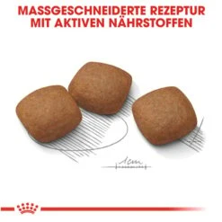 ROYAL CANIN JOINT CARE MAXI Trockenfutter Für Große Hunde Mit Empfindlichen Gelenken 12 ROYAL CANIN JOINT CARE MAXI Trockenfutter Für Große Hunde Mit Empfindlichen Gelenken -Hund Sache Getchaft royal canin jointcare maxi 4