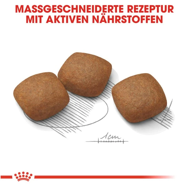 ROYAL CANIN JOINT CARE MAXI Trockenfutter Für Große Hunde Mit Empfindlichen Gelenken 6 ROYAL CANIN JOINT CARE MAXI Trockenfutter Für Große Hunde Mit Empfindlichen Gelenken – Bild 4