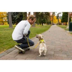 Ruffwear Geschirr Flagline Lichen Green -Hund Sache Getchaft ruffwear geschirr flagline lichen green web 9