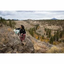 Ruffwear Geschirr Flagline Sage Green -Hund Sache Getchaft ruffwear geschirr flagline sage green web 11