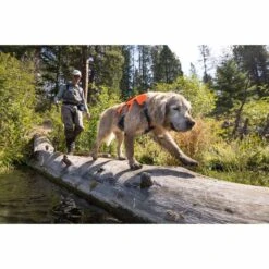 Ruffwear Geschirr Web Master Blaze Orange 21 Ruffwear Geschirr Web Master Blaze Orange -Hund Sache Getchaft ruffwear geschirr web master blaze orange web 11