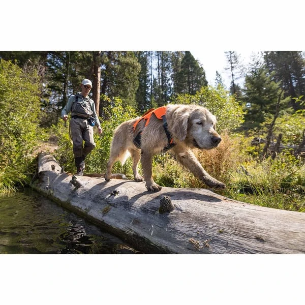 Ruffwear Geschirr Web Master Blaze Orange 12 Ruffwear Geschirr Web Master Blaze Orange – Bild 10