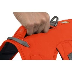 Ruffwear Geschirr Web Master Blaze Orange 17 Ruffwear Geschirr Web Master Blaze Orange -Hund Sache Getchaft ruffwear geschirr web master blaze orange web 5