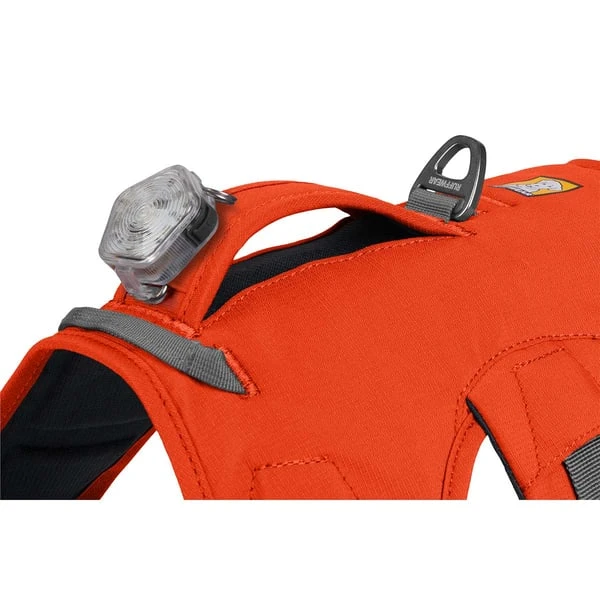 Ruffwear Geschirr Web Master Blaze Orange 9 Ruffwear Geschirr Web Master Blaze Orange – Bild 7