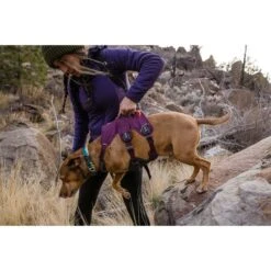 Ruffwear Geschirr Web Master Purple Rain 22 Ruffwear Geschirr Web Master Purple Rain -Hund Sache Getchaft ruffwear geschirr web master purple rain web 8
