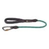 Ruffwear Knot-a-Long Leine Aurora Teal 1 Ruffwear Knot-a-Long Leine Aurora Teal -Hund Sache Getchaft ruffwear leine knot a long aurora teal web 6