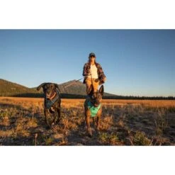 Ruffwear Switchbak Leine Granite Gray -Hund Sache Getchaft ruffwear leine switchbak granite gray web 8