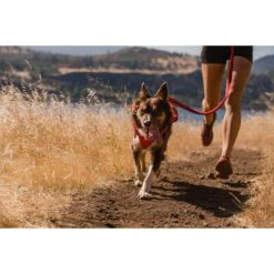 Ruffwear Switchbak Leine Red Sumac 19 Ruffwear Switchbak Leine Red Sumac -Hund Sache Getchaft ruffwear leine switchbak red sumac web 12